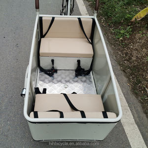 Bicicleta de carga eléctrica holandesa, 3 ruedas, marco de acero reforzado soldado TIG, triciclo eléctrico de tres ruedas con cinturón de seguridad para niños - Product Image 4