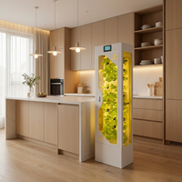 Armoire de culture verticale hydroponique personnalisée pour jardinage intérieur avec éclairage intelligent