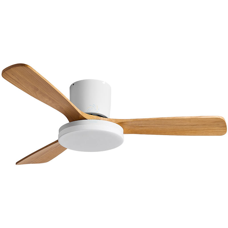 ขาว + เม็ดไม้