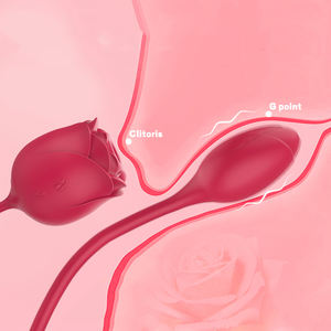 S-HANDE livraison directe pour toujours Rose jouet mamelon ventouses clitoridien sucer vibrateur Rose langue vibrateur jouets sexuels pour femme - Product Image 1