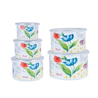 BSCI usine émail fruits bol ensemble 5 pièces émail stockage bol ensembles avec couvercle en plastique