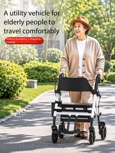 Fauteuil roulant personnalisé <span class=keywords><strong>pour</strong></span> animaux de compagnie handicapés, <span class=keywords><strong>chariot</strong></span> de marche assistée <span class=keywords><strong>pour</strong></span> chiens âgés, aide à la mobilité - Product Image 6