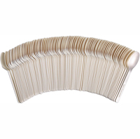EcoNewLeaf 13cm Petite Petite Cuillère Biodégradable Compostable CPLA Cuillère à Dessert