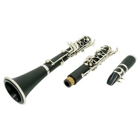 Vente directe usine – Étui personnalisable en résine ABS pour embouchure de clarinette, idéal pour étudiants, 17 clés, plaqué argent, tonalité Mi bémol, vente en gros