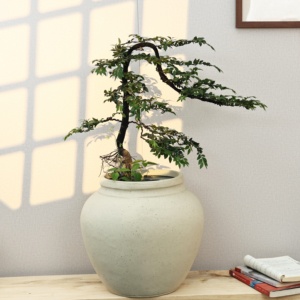 <span class=keywords><strong>Plante</strong></span> en pot simple, <span class=keywords><strong>grande</strong></span>, nordique, à feuilles <span class=keywords><strong>d</strong></span>'érable, pour intérieur et extérieur, verte, style artistique ancien, effet eau courante - Product Image 2
