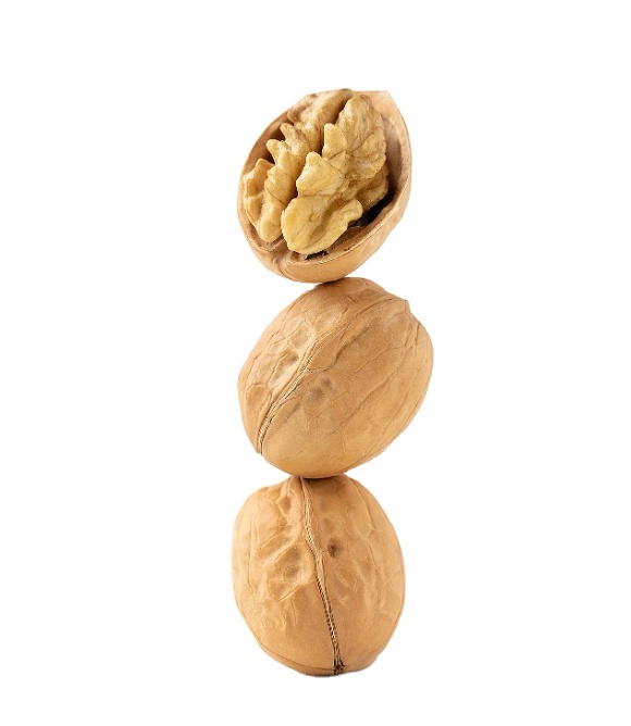 Walnuts Kernels in Good Color Bulk