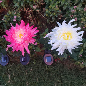 <span class=keywords><strong>Lampe</strong></span> <span class=keywords><strong>solaire</strong></span> LED en forme de fleur de marguerite, piquet d'extérieur, imperméable, alimenté par énergie <span class=keywords><strong>solaire</strong></span>, luminaire décoratif de chrysanthème pour jardin, pelouse, Patio et arrière-cour - Product Image 4