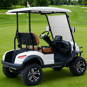 Voitures à deux places pour le Nouvel An chinois 2026, <span class=keywords><strong>4x4</strong></span> tout-terrain, voiturette de golf électrique à deux places - Product Image 4