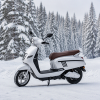Vélo Électrique Urbain Chinois à Vendre : Moto Électrique 48V 1000W pour Adultes, Production Personnalisée, Approvisionnement en Gros