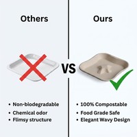Assiettes jetables personnalisées de qualité supérieure, surface givrée, en bagasse de canne à sucre, recyclables pour la restauration
