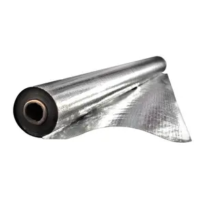 Đục Rạng Rỡ rào cản Aluminium foil