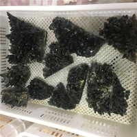 En gros Naturel Noir Quartz Cristal Cluster Reiki Guérison Pierre Semi-Précieuse pour FengShui Cristal Artisanat