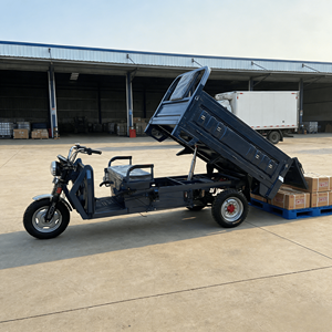 Tricycle électrique 1000W personnalisable avec logo, cadre ouvert 60V, idéal pour la livraison en petite entreprise - Meilleures ventes - Product Image 2