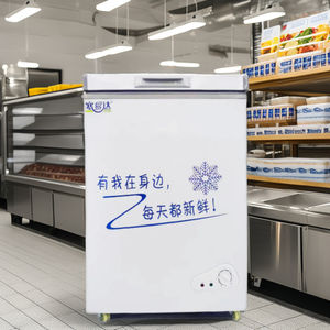 Offre Spéciale petit réfrigérateur congélateur porte coulissante ouverte sur le dessus coffre profond horizontal commercial pour les ménages hôtels Source d'alimentation électrique - Product Image 4