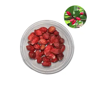Fabriekslevering Groothandel Miracle Berry Extract Mirakel Fruit Poeder Gevriesdroogd Wonderfruit
