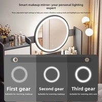 Coiffeuse multifonctionnelle haut de gamme tendance avec miroir intégré et meuble de rangement, design épuré pour chambre d'appartement compacte