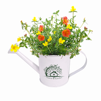 Arrosoir en métal Pots de fleurs décoratifs Zinc jardinières nordiques seau décoration de la maison ménages panier de plantes galvanisé