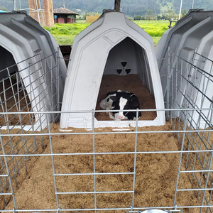 Zuivel Plastic Kalfseiland Open Voordeur Jong Vee Vila Open Ruimte Ventilatie Dierenkooien Koeien Veehuis - Product Image 1