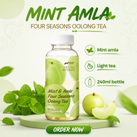 Fabricant de thé en vrac OEM ODM Nihewan, thé Oolong Quatre Saisons à la menthe et à l'Amla, boisson 240 ml, emballage personnalisé, thé prêt à boire