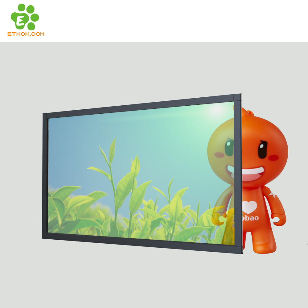 Flexible Transparent Lcd Display Panel 