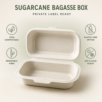Contenitore per Hot Dog in Bagassa di Canna da Zucchero Compostabile ed Ecologico, Scatola Biodegradabile Usa e Getta per Cibo da Asporto