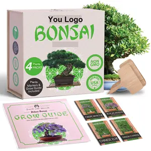 Wholesale 4 Variety Real Bonsai Tree Growing Kids Garden Kit Japanese Bonsai Starter Tool Set