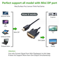 MINI DP À DVI 24 + 1 CÂBLE MÂLE COMPLET 1080P OD5.0MM MOULURE NOIRE CHIPSET ACTIF