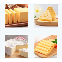 Cuve de fabrication de fromage à succès, cuve à fromage à double enveloppe avec mélangeur, machine de traitement du fromage à chauffage électrique pour usine laitière