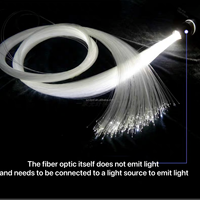 Kits de lumière de décoration à fibre optique LED commerciaux pour les décorations de restaurant et de festival de boîte de nuit