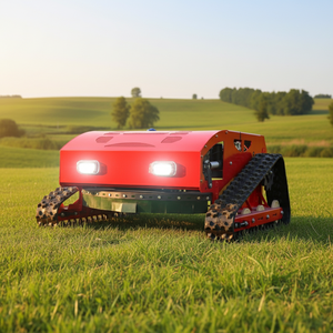Offre Spéciale – Tondeuse Débroussailleuse Industrielle Diesel à Chenilles 800 mm, 22 CV, Télécommandée, pour <span class=keywords><strong>Ferme</strong></span> et Jardin - Product Image 2