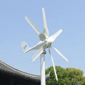 Turbina aerogeneradora Horizontal pequeña de 800W, 12v, 24v, 6 cuchillas, Instalación en techo, molinos de viento de energía alternativa gratis