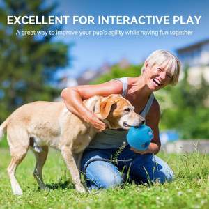 Giocattolo Interattivo per Animali Domestici AFP, Palla Sonora per Cani, Gioco di Tira e Molla, Esercizio all'Aperto, Gioco da Masticare per Cani Piccoli e Medi - Product Image 3