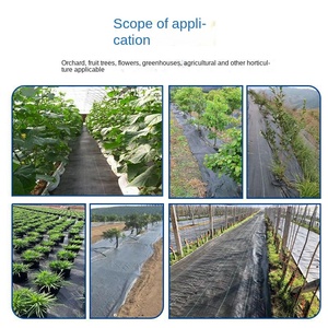 Malla Antihierbas Agrícola a Gran Escala, Tejido de PP/PE, Barrera Plástica Tejida Contra Malezas, Cubierta para el Suelo, Película Antihierbas No Tejida - Product Image 5