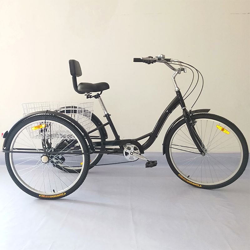 OEM Custom Adult Tricycle - 20 Inch Bike with 3 Wheels