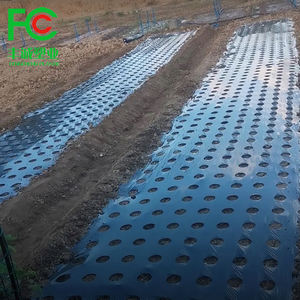 <span class=keywords><strong>Film</strong></span> <span class=keywords><strong>de</strong></span> <span class=keywords><strong>paillage</strong></span> agricole en plastique argenté <span class=keywords><strong>pour</strong></span> jardinage et agriculture, <span class=keywords><strong>film</strong></span> <span class=keywords><strong>de</strong></span> culture <span class=keywords><strong>pour</strong></span> <span class=keywords><strong>tomates</strong></span> et pommes <span class=keywords><strong>de</strong></span> terre, couverture <span class=keywords><strong>de</strong></span> sol biodégradable - Product Image 3