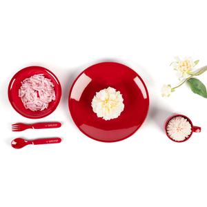 Ensembles de vaisselle en mélamine avec décalcomanie personnalisée entièrement imprimés Technique du gel avec motif végétal pour le dîner ou la salade - Product Image 5