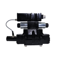 Katup Pembalik Seri ZY Elektromagnetik D1F D1FV Asli D1FVE02BCVXW25 D1FVE02CC0NM0311 D1FVE50BCVLB Katup Proporsional