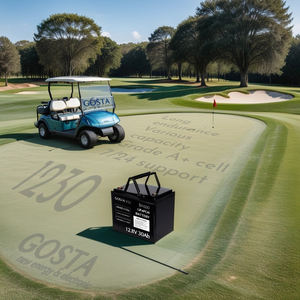 GOSTA BA1230 12V 4or5 Seater Electric EV Golf Buggy Cart Car Power Battery - Product Image 4