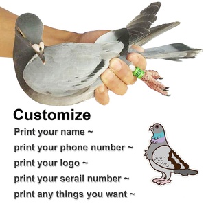 Bagues de Pied Personnalisées <span class=keywords><strong>pour</strong></span> Pigeons Voyageurs et de Course, avec Puce, Nom Coloré, Numéro de Téléphone et Numéro de Série - Product Image 2