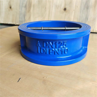 Clapet anti-retour DN100 à bride G2 pour applications hydrauliques haute pression et sous vide en acier inoxydable