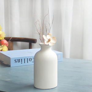 مزهرية بتصميم حديث قابلة للتخصيص لأعمال الزهور المجففة بنفسك، مزهرية زهور إبداعية صغيرة من السيراميك للمنزل، مزهرية من البورسلين الأبيض - Product Image 2