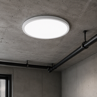 En stock, homologué ETL, panneau lumineux LED rond ultra fin de 12 pouces, luminaire LED à intensité variable 5CCT, plafonnier LED pour bureau, maison, commerce