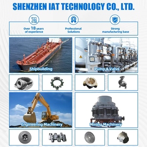 Высокоточные услуги по изготовлению металлических деталей методом литья под давлением для соединительных валов P4008 (0,20-5 кг), механически обработанные детали # Запчасти для насосов 20 1018 416 304 316 - Product Image 4