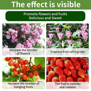 <span class=keywords><strong>Engrais</strong></span> Spécial <span class=keywords><strong>pour</strong></span> Augmenter les Rendements Fruitières, Adapté à Tous les Types d'Arbres Fruitiers, Améliorant la Production et la Qualité - Product Image 3