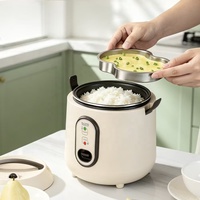 Mini cuiseur à riz 1,0 L/350 W, cuisson rapide, revêtement antiadhésif, avec tasse doseuse, pour étudiants, personnes âgées, célibataires, petites familles