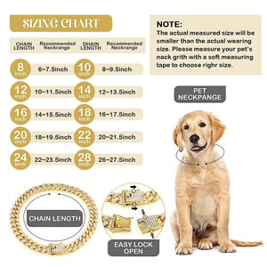 Collar de Metal para mascotas con piedras del Rin de 43mm, Collar de perro dorado con cadenas de perro cubano de lujo de acero inoxidable - Product Image 5