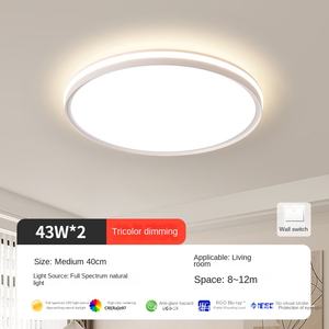 Moderne Simple avec protection des yeux à spectre complet 24W Home Smart Living Room Lamp Bedroom Lamp Mi Home Lighting LED Plafonnier - Product Image 6