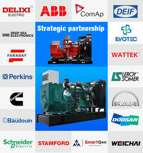 Grupo Electrógeno de Gas Natural Silencioso en Contenedor de 800kW, 1000kVA, Insonorizado, con [Marca del Motor] para Central Eléctrica - Product Image 4
