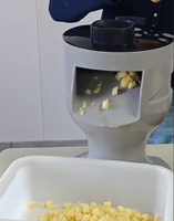 Multifunctionele elektrische fruit- en groentesnijder voor citroenen, automatische commerciële groentesnijmachine voor cassave