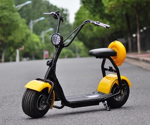 Classic 15 pollici fat tire mini citycoco scooter elettrico con schienale di stile della signora - Product Image 5